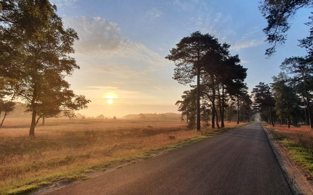 Tips voor een dagje naar Het Nationale Park de Hoge Veluwe.