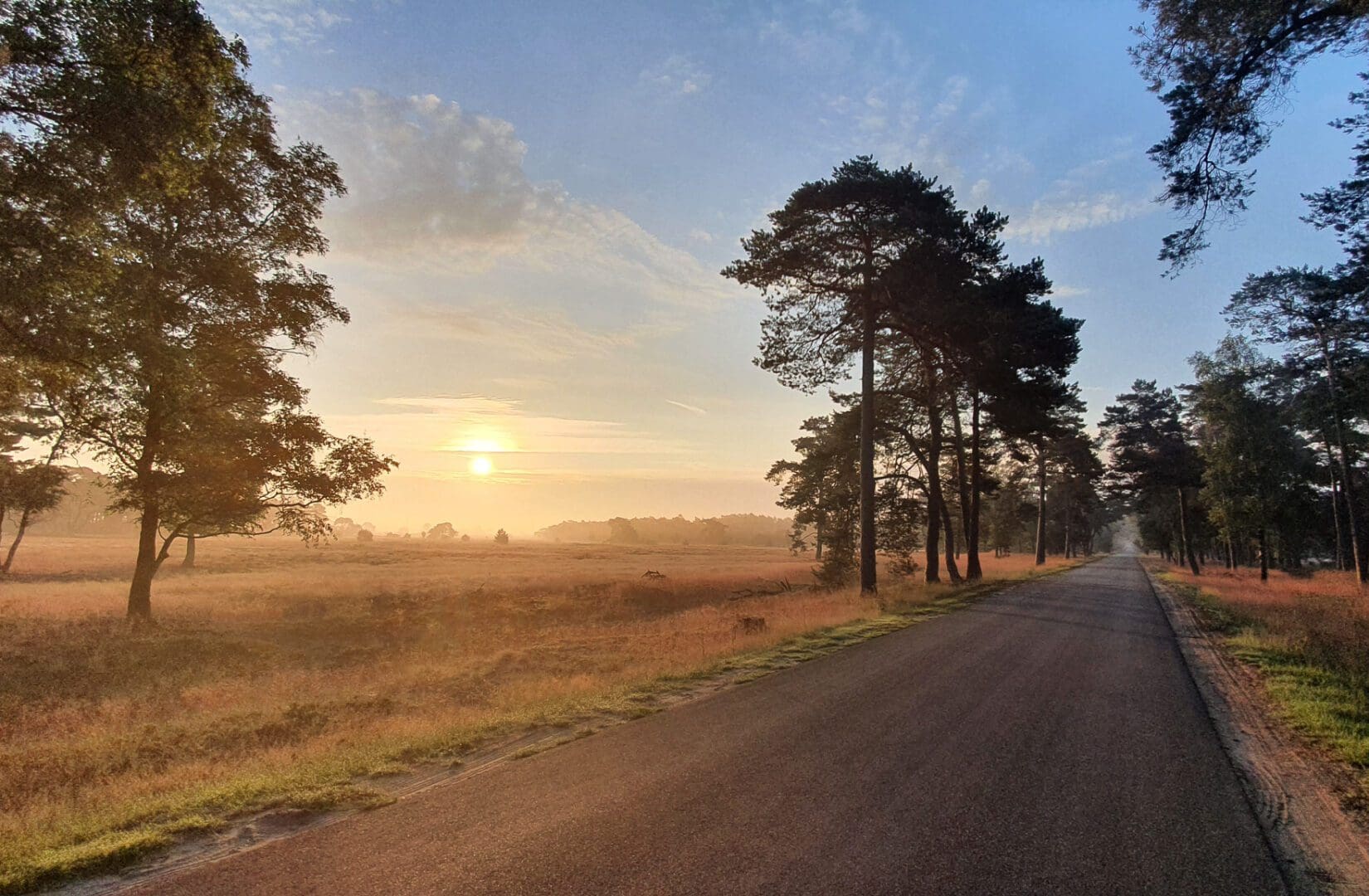 Tips dagje Hoge Veluwe